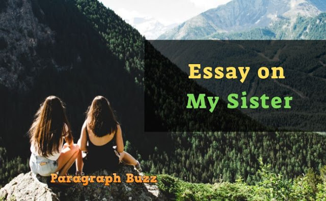 my sister essay example
