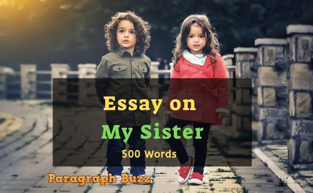 My Sister Essay - 500 Words