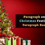 Paragraph on Christmas Festival