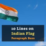 10 Lines on Indian Flag in English