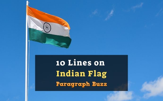 10 Lines on Indian Flag in English