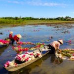 Short Paragraph on Flower of Bangladesh