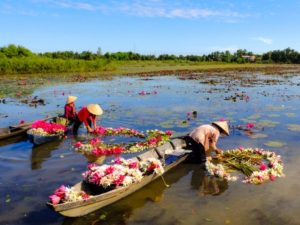 Short Paragraph on Flower of Bangladesh