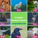 4 Letter Animal Names