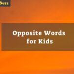 Opposite Words for Kids