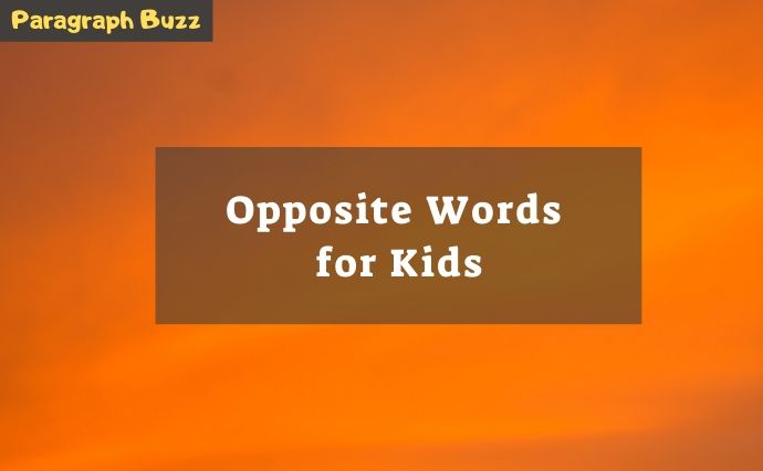 Opposite Words for Kids