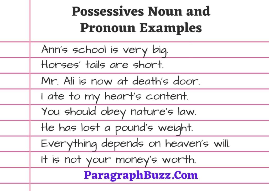 50 Possessives Noun And Pronoun Examples In Sentence