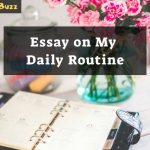 essay on my daily routine