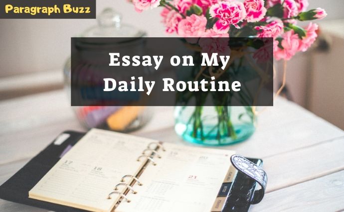 Essay on My Daily Routine | 200, 300, 400, 500 Words for Class 1-10