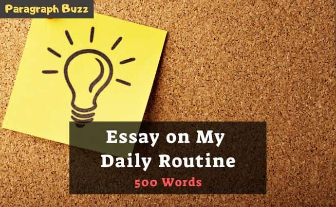 Essay on My Daily Routine in 500 Words