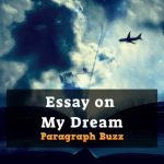 essay on my dream