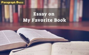 My favourite place is my bedroom Essay - Words my favourite place essay
