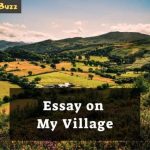 essay on my village
