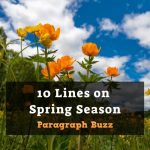 10 Lines on Spring Season in English