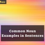 Common Noun Examples in Sentences