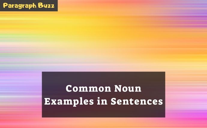 Common Noun Examples in Sentences