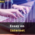 Essay on Internet