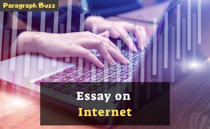 an opinion essay about internet