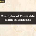 Examples of Countable Noun in Sentences