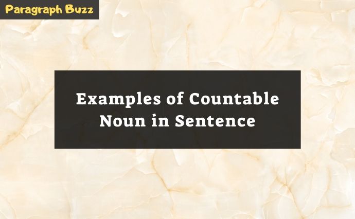 Examples of Countable Noun in Sentences