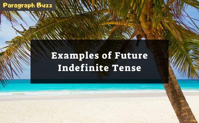 future indefinite tense examples