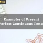 present perfect continuous tense examples