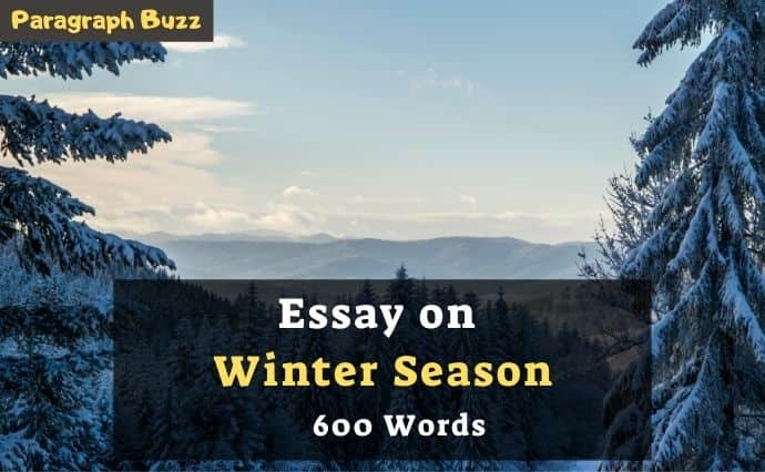 Essay on Winter Season in 600 Words