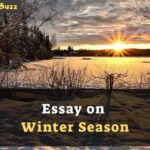 winter season essay