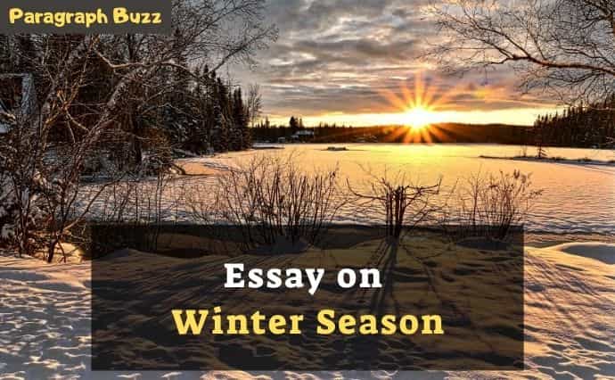 winter season essay