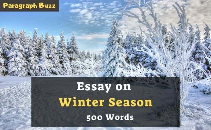 Essay on Winter Season in 500 Words