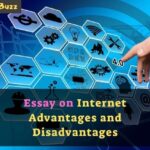 Essay on Advantages and Disadvantages of Internet