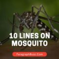 10 Lines on Mosquito in English for All Students