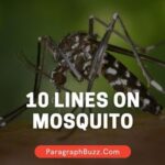 10 Lines on Mosquito in English for All Students
