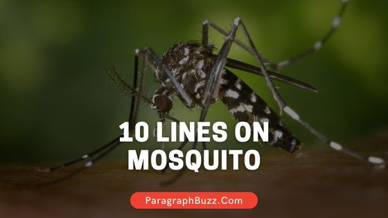 10 Lines on Mosquito in English for All Students